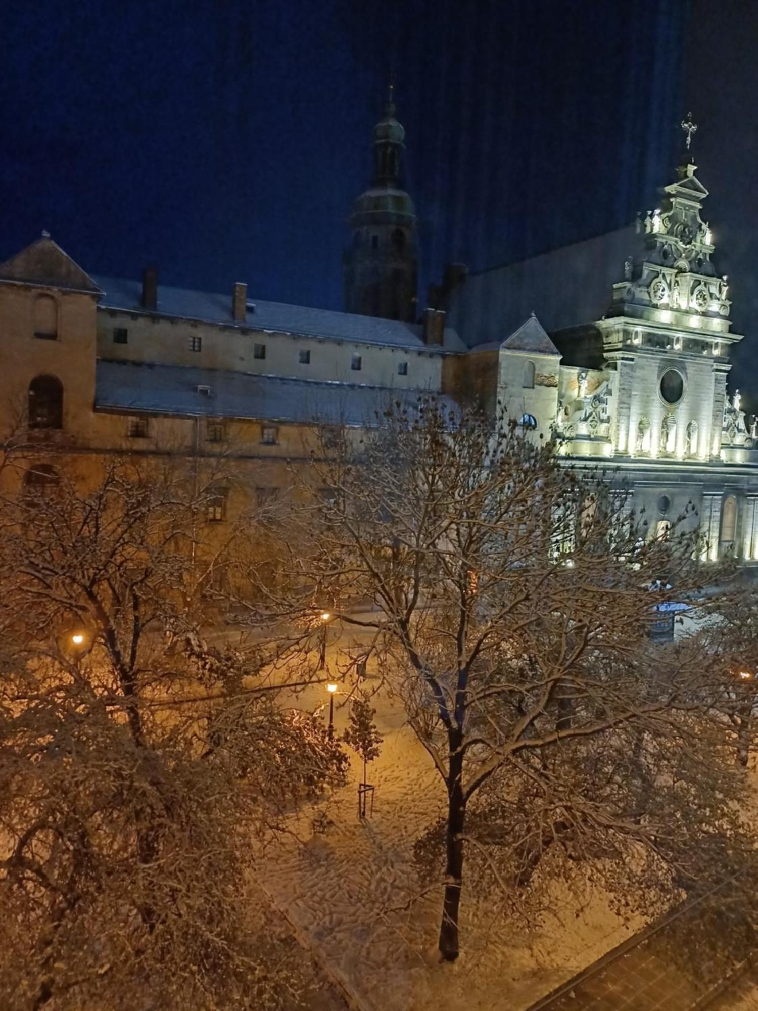 The Heart Of Lviv Exterior foto